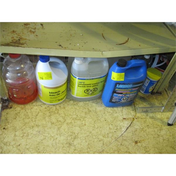 PAIL OF ANTIFREEZE, BLEACH, ETC.