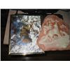 Image 3 : 4 DECORATIVE WALL HANGINGS, EAGLE, WOLF, DEER & ELK PICTURES