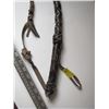 Image 2 : BULLWHIP
