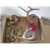 Image 2 : SET OF DEER HORNS & PIECES OF HORNS & A HORSE HEAD