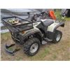 Image 2 : WILDERNESS TRAIL 250 4X2 QUAD