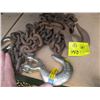Image 3 : NEW 6' CHAIN W/HOOKS & 8' CHAIN W/1 HOOK + 3 NEW HOOKS