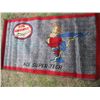 Image 2 : 2 ENTRANCE MATS