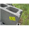 Image 2 : 20 DOUBLE CINDER BLOCKS