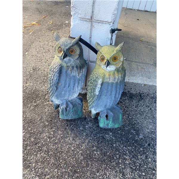 Owl decoys