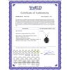 Image 2 : 14K White Gold 0.75 ct Black Diamond Solitaire Necklace - REF-53K7Y