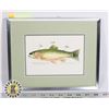 Image 1 : WESTSLOPE CUTTHROAT TROUT FRAMED PRINT