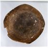 Image 10 : Ancient Mississippian Pottery Bowl