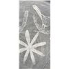 Image 8 : Anasazi Decorated Native American Indian Pot