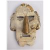 Image 1 : South American Turtle Mask