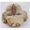 Image 4 : South American Turtle Mask