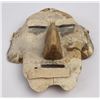 Image 5 : South American Turtle Mask