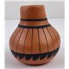 Image 1 : Native American Indian Pot Vase