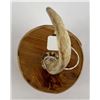 Image 5 : Alaskan Inuit Eskimo Birch Bark Rattle