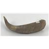Image 3 : Plains Indian Steer Horn