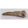 Image 3 : Native American Indian Bone Tool