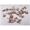 Image 1 : Hawaiian Shell Necklace