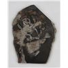 Image 2 : Native American Indian Pot Stencil
