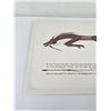 Image 3 : Schmidt Signed Numbered Print