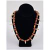 Image 1 : Plains Indian Coyote Tooth Necklace