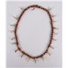 Image 3 : Plains Indian Coyote Tooth Necklace