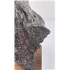 Image 9 : L P McCann Indian Bronze