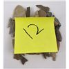 Image 7 : Collection of Ancient Indian Arrowhead Points #12