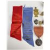 Image 2 : Collection of Societal Pins and Ribbons
