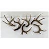 Image 1 : Collection of Whitetail Deer Chandelier Pieces