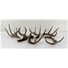 Image 2 : Collection of Whitetail Deer Chandelier Pieces
