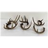 Image 3 : Collection of Whitetail Deer Chandelier Pieces