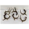 Image 4 : Collection of Whitetail Deer Chandelier Pieces