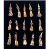 Image 2 : Group of Fossil Buffalo Teeth Pendants