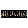 Image 3 : Group of Fossil Buffalo Teeth Pendants
