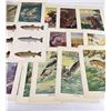 Image 10 : Herman Hintermeister Print Collection