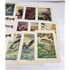 Image 11 : Herman Hintermeister Print Collection
