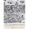 Image 6 : Effects of Viruses on Cells Photo Poster
