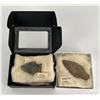 Image 2 : Ancient Native American Indian Stone Arrowheads