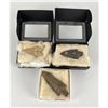 Image 5 : Ancient Native American Indian Stone Arrowheads