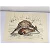 Image 2 : John Craighead Goshwak Bruce Lattig Print