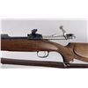 Image 9 : Springfield Model 1903 30-06 Rifle