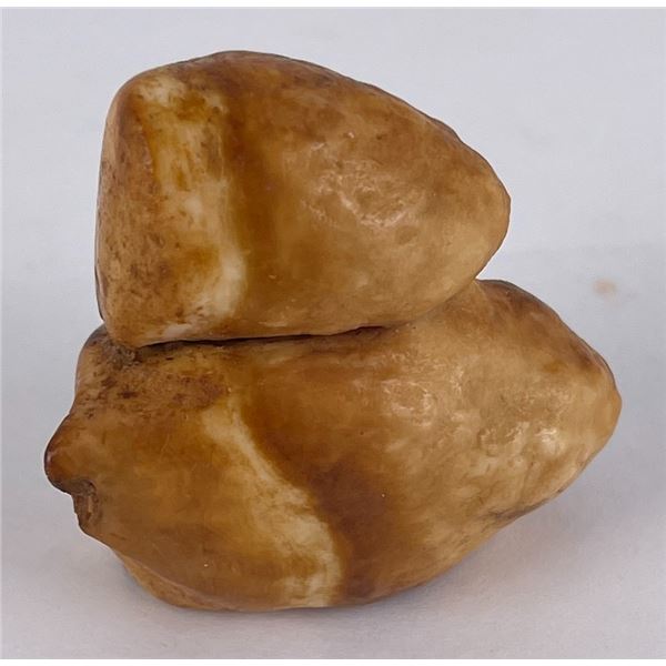 Alaskan Eskimo Inuit Fossil Walrus Teeth