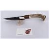 Image 2 : Bo Earls Handmade Obsidian Horn Handle Knife