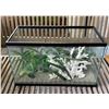 Image 1 : Glass Terrarium - Aquarium (Aprox. 20"x10"x12")
