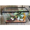 Image 1 : Glass Terrarium - Aquarium (Aprox. 20"x10"x12")