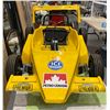Image 2 : Briggs and Stratton 3HP Go-Kart