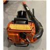 Image 1 : Echo Backpack Leafblower (Running)