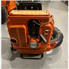 Image 2 : Echo Backpack Leafblower (Running)
