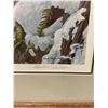 Image 2 : Framed Robert Bateman Print 1990 Numbered (Aprox 38" x 30.5")
