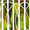 Image 2 : Aurora Borealis 1 by Marlowe Original